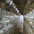 3 ou 4 Layer Rabbit Battery Cage For Sale